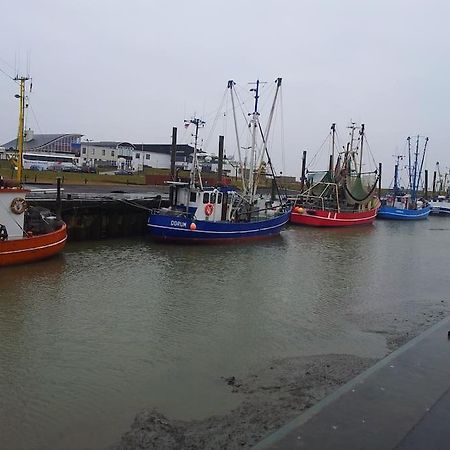 Nordsee Und Natur. Gemuetliche Fewo Mit Deichblick Dorumer Neufeld Kültér fotó