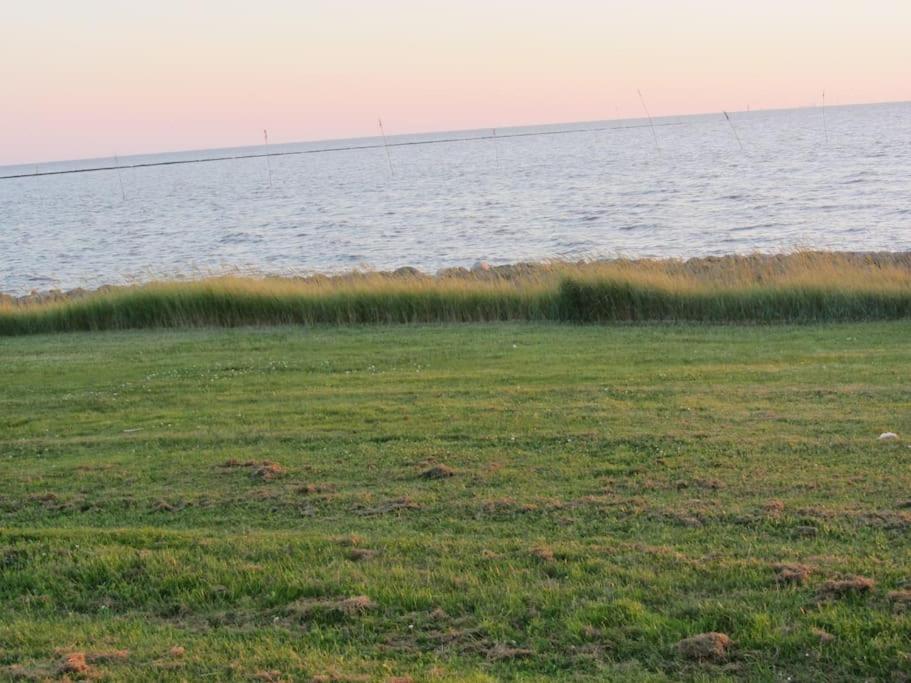 Nordsee Und Natur. Gemuetliche Fewo Mit Deichblick Dorumer Neufeld Kültér fotó