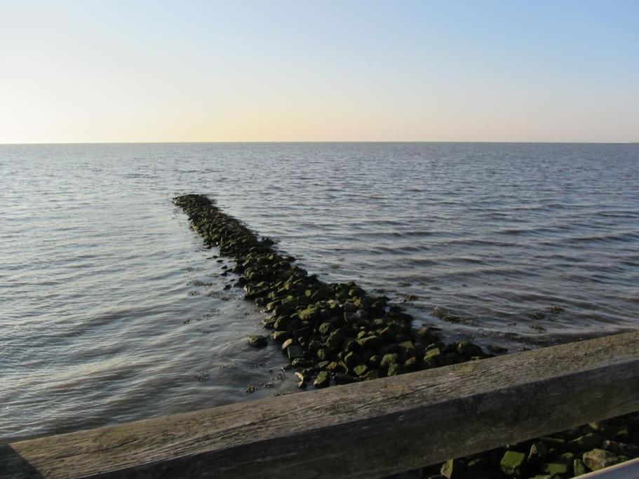 Nordsee Und Natur. Gemuetliche Fewo Mit Deichblick Dorumer Neufeld Kültér fotó