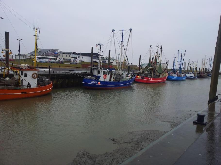 Nordsee Und Natur. Gemuetliche Fewo Mit Deichblick Dorumer Neufeld Kültér fotó